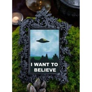 I Want to Believe - Magnet - The X Files